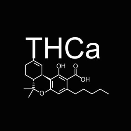 THCA CONCENTRATE